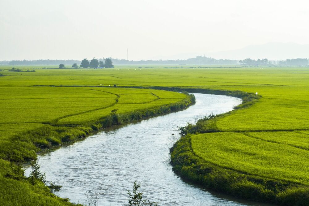 Een foto van een rivier dat symbool staat voor een gestroomlijnd inkoopproces in de zorg