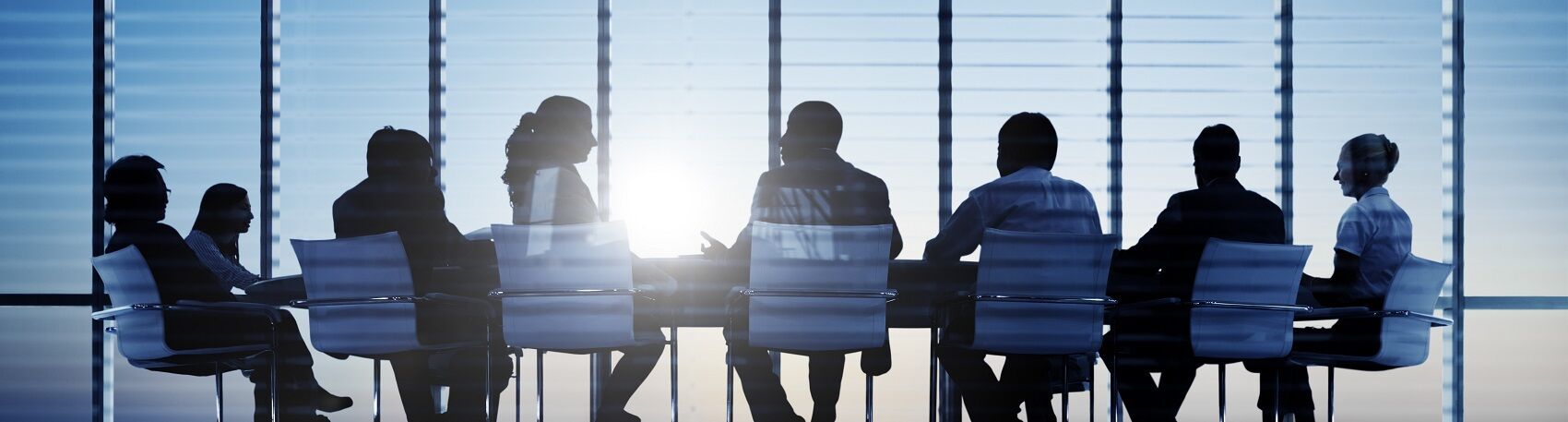 Advisie De Enige Exact Platinum Partner In Nederland